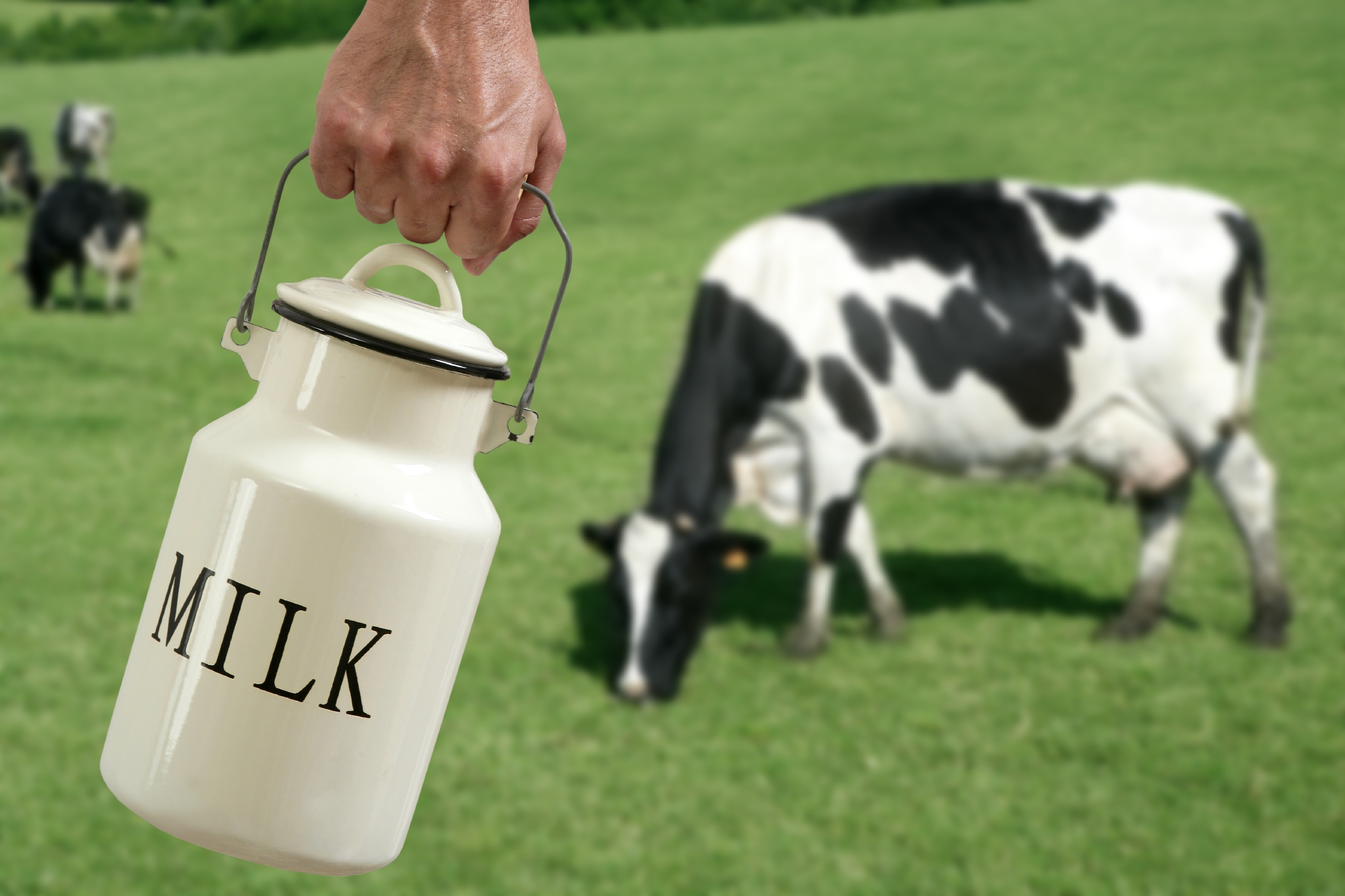 Raw-milk-consumption-cuts-risk-of-infant-respiratory-infections-Study