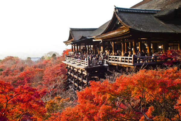 Một số địa điểm ngắm lá đỏ ở Kyoto