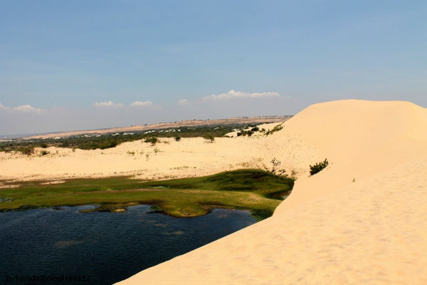 những đồi cát đẹp mê hồn ở miền Trung