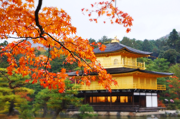 Một số địa điểm ngắm lá đỏ ở Kyoto