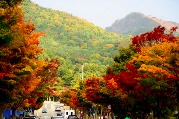 Núi Palgongsan Hàn Quốc