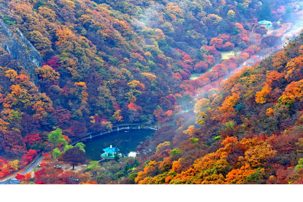 du lịch Hàn Quốc mùa thu