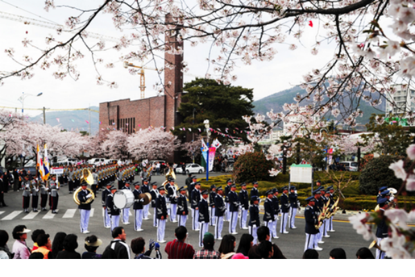  Lễ hội hoa anh đào Jinhae Gunhangje.