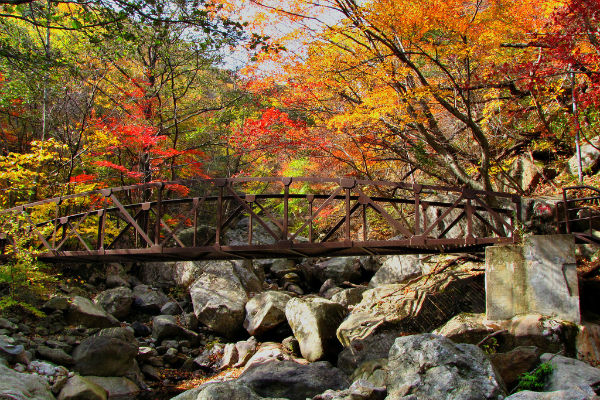 núi Jirin đẹp nhất Hàn Quốc