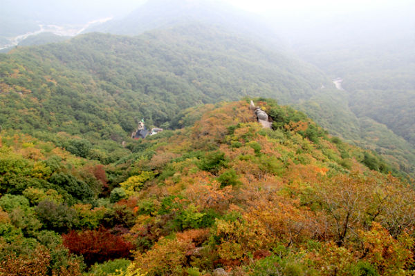 Tượng Phật Gatbawi Hàn Quốc