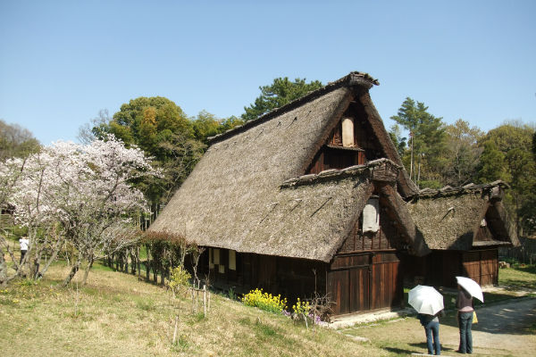 làng Shirakawa Nhật Bản