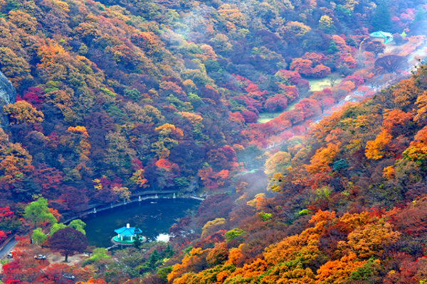 Bức tranh mùa thu Rừng quốc gia Seoraksan - Công ty du lịch Ấn Tượng Châu Á