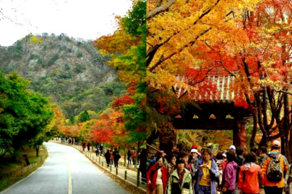 Du lịch Hàn Quốc tháng 9