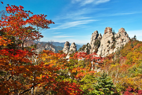 Rừng quốc gia Seoraksan 