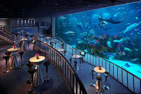Thủy cung S.E.A  Aquarium Singapore