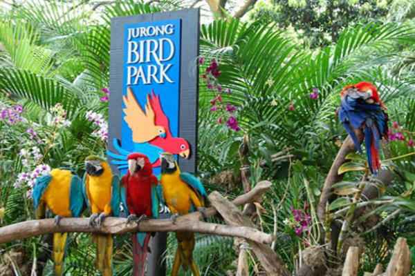 Vườn chim Jurong ở Singapore
